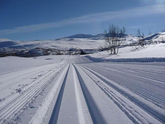 Апартаменты Signegarden - Midt I Fjellheimen - Tett Pa Fjord-Norge Шок Экстерьер фото